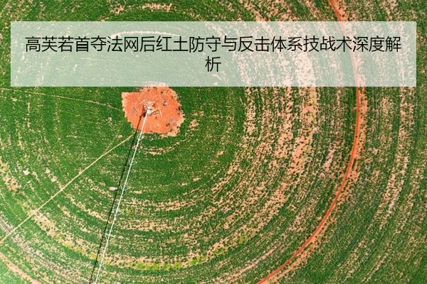 gao-fu-ruo-shou-duo-fa-wang-hou-hong-tu-fang-shou-yu-fan-ji-ti-xi-ji-zhan-shu-shen-du-jie-xi-2-661.jpg