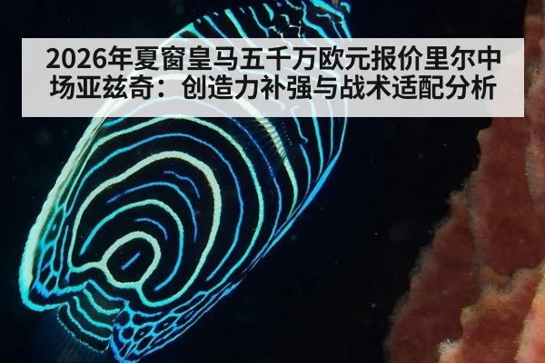 2026年夏窗皇马五千万欧元报价里尔中场亚兹奇：创造力补强与战术适配分析