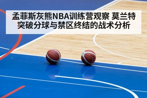 孟菲斯灰熊NBA训练营观察 莫兰特突破分球与禁区终结的战术分析