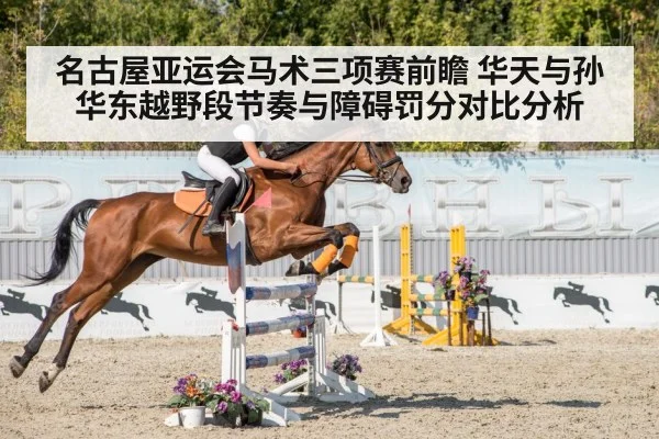 名古屋亚运会马术三项赛前瞻 华天与孙华东越野段节奏与障碍罚分对比分析